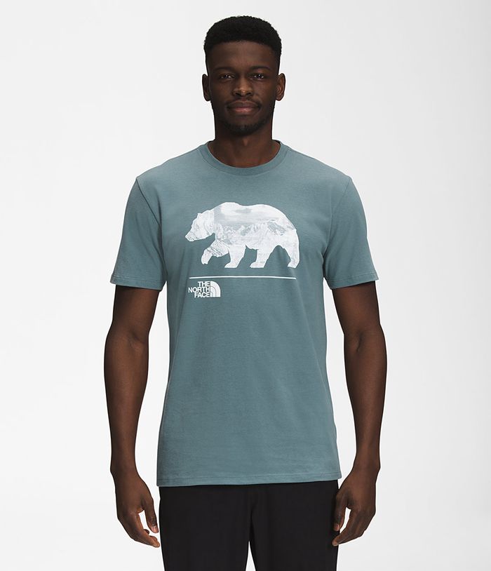 The North Face T-Shirts Bearscape Short Sleeve Blue - Mens - Thailand TGCKQ-3641